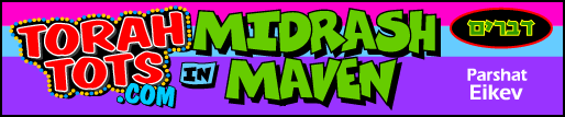 Midrash Top