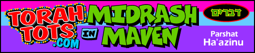 Midrash Top