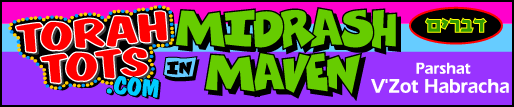 Midrash Top